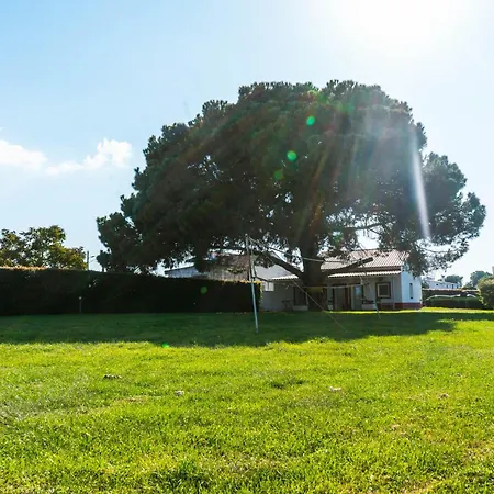 Casa Pipas Palmela #6 Chata Pinhal Novo