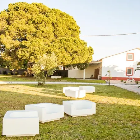 Chata Casa Pipas Palmela #6