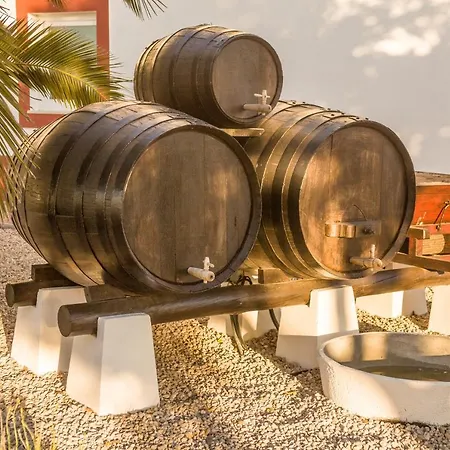 Casa Pipas Palmela #6